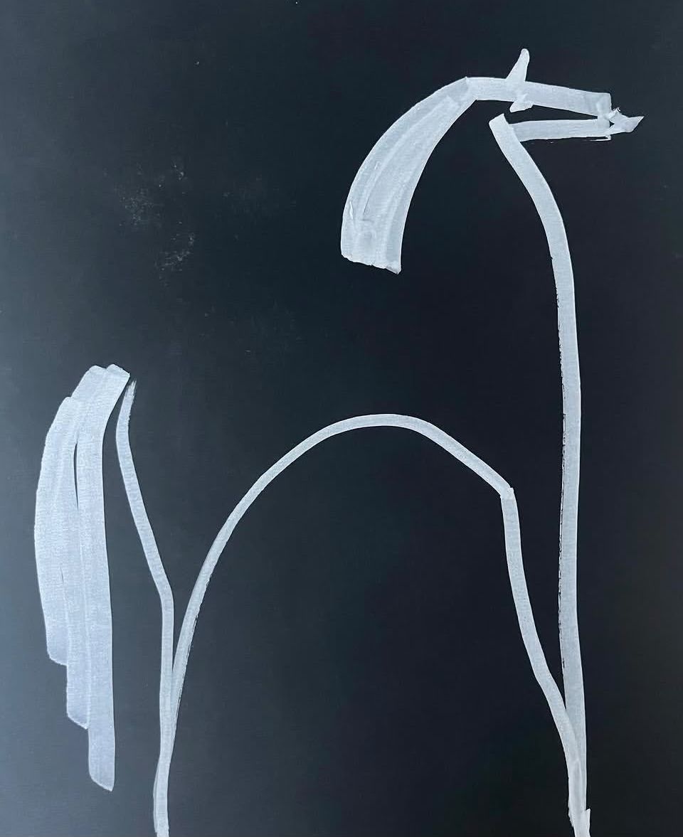 Untitled, Painted paper on black