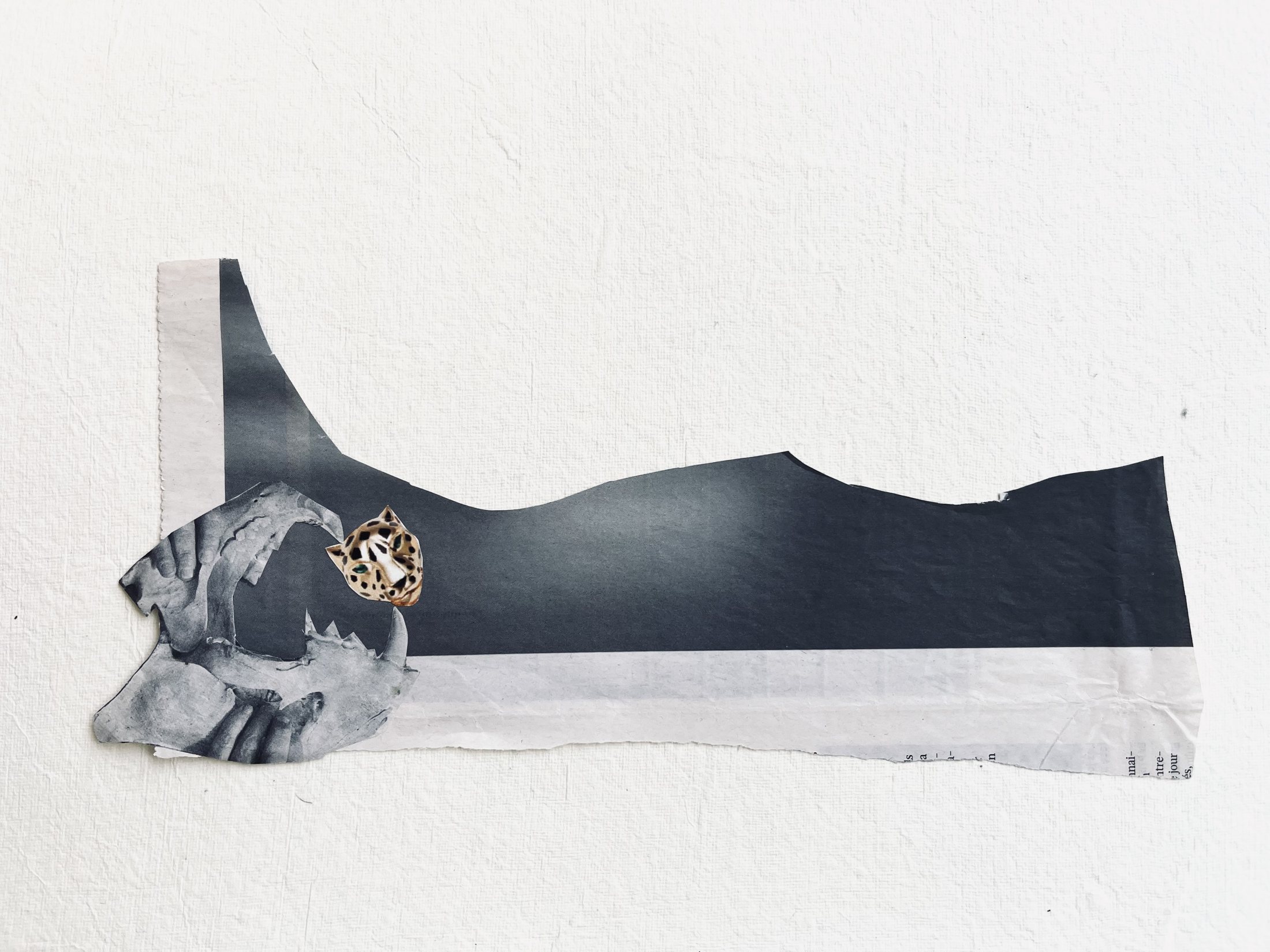 Collage mode, Collage