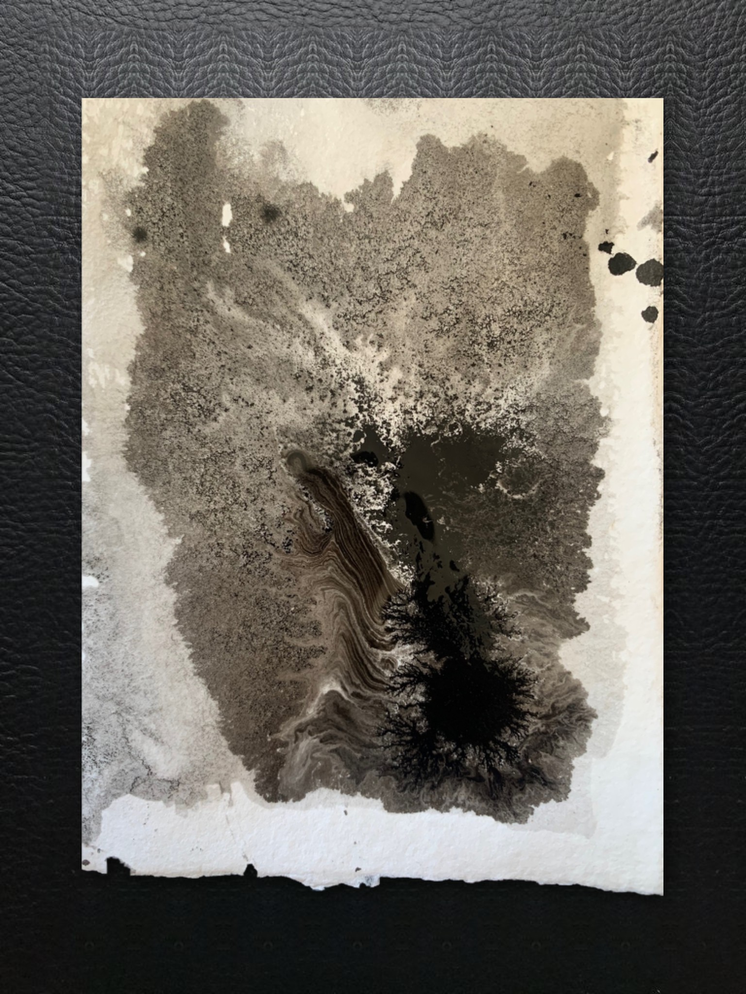Paysages intérieurs, Ink wash