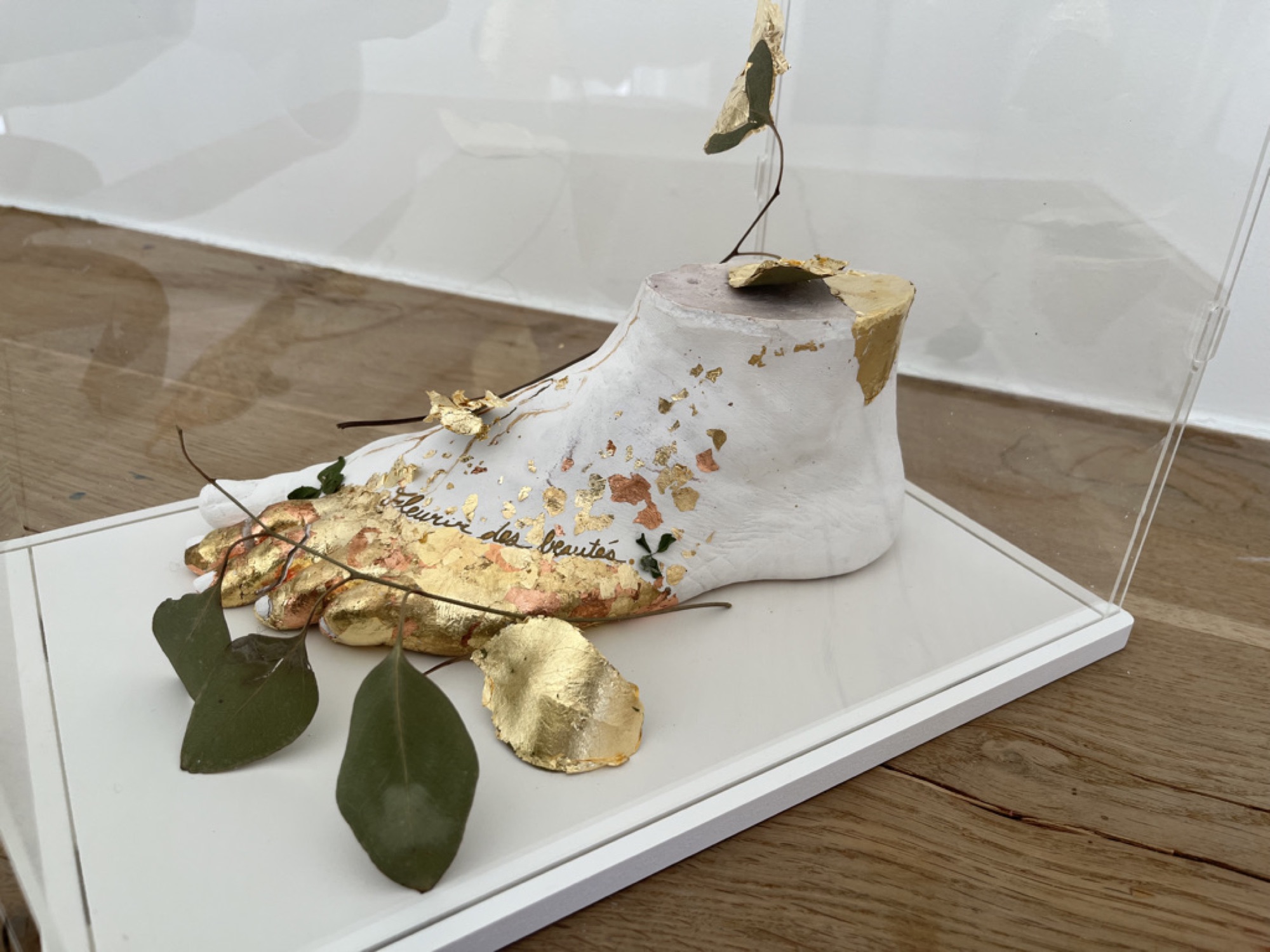 Fleurir des beautés, Mixed media