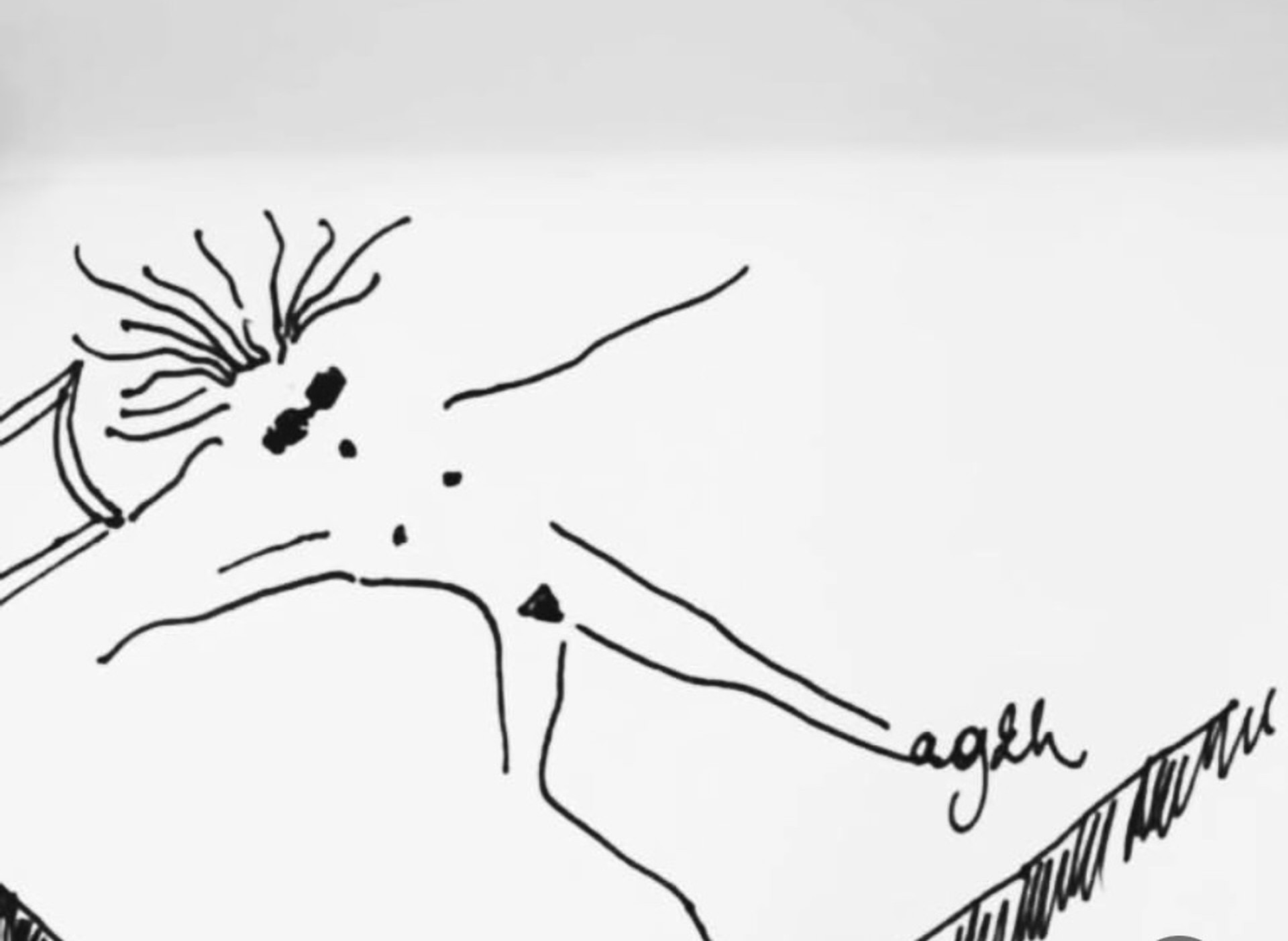 Lady, Ink, continuous line