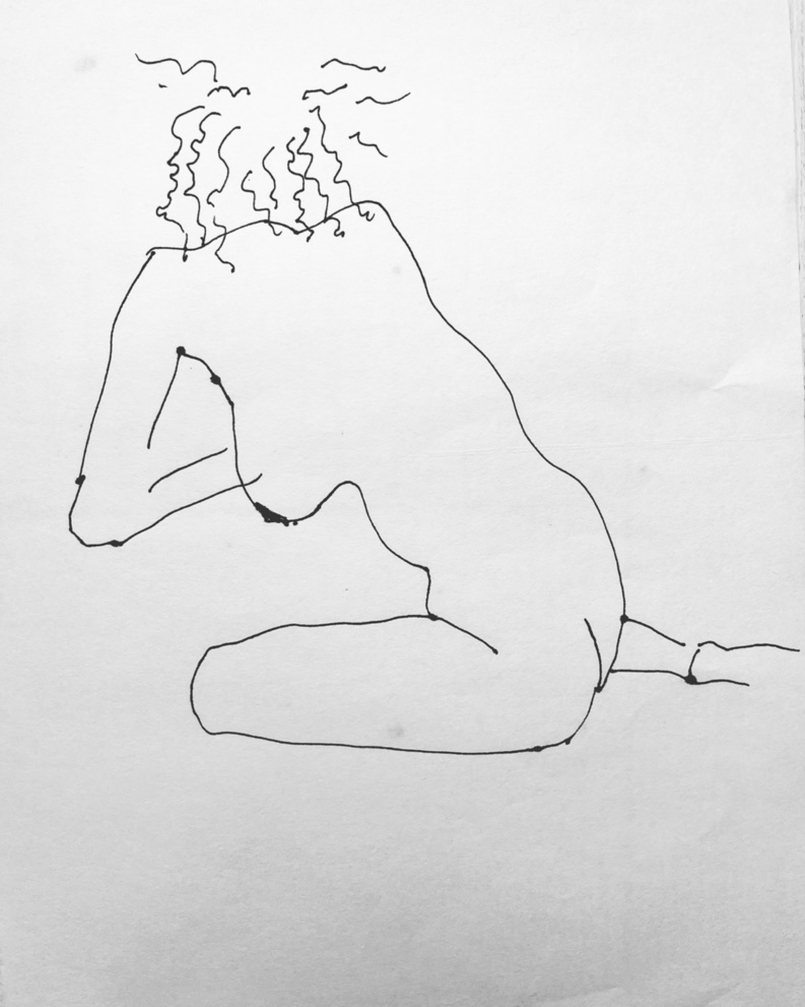 Untitled, Ink, continuous line